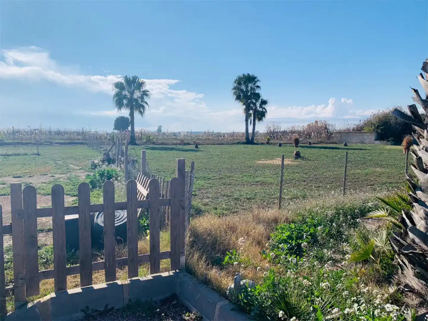 Planta baixa en venda en Dolores amb Aire condicionat, Piscina i Balcó