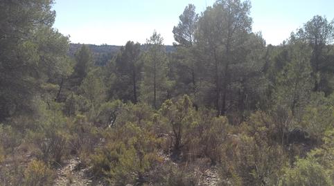 Foto 2 de Terreny en venda a Plaza Mayor, 8, La Pesquera , Cuenca