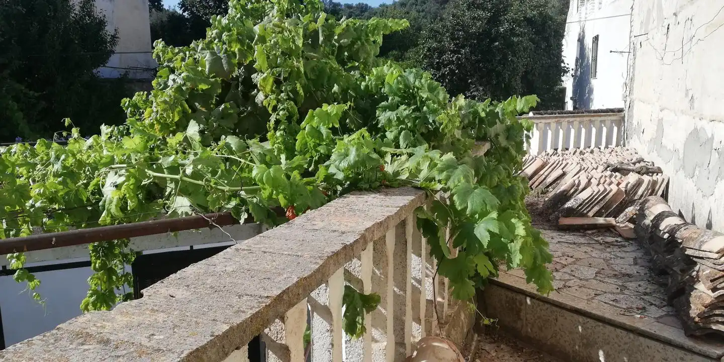 Casa en venta en Calle San Roque 15, imagen 2