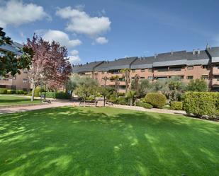 Garden of Flat to rent in Pozuelo de Alarcón  with Air Conditioner, Heating and Private garden