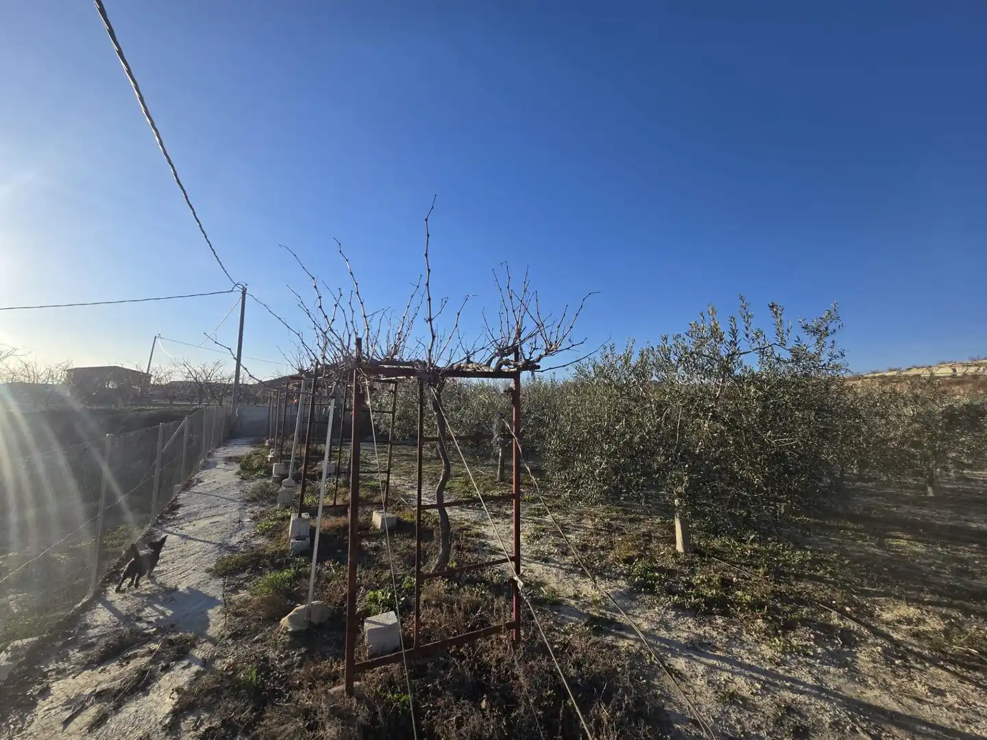 Casa o xalet en venda en Alguazas amb Jardí privat i Piscina comunitària