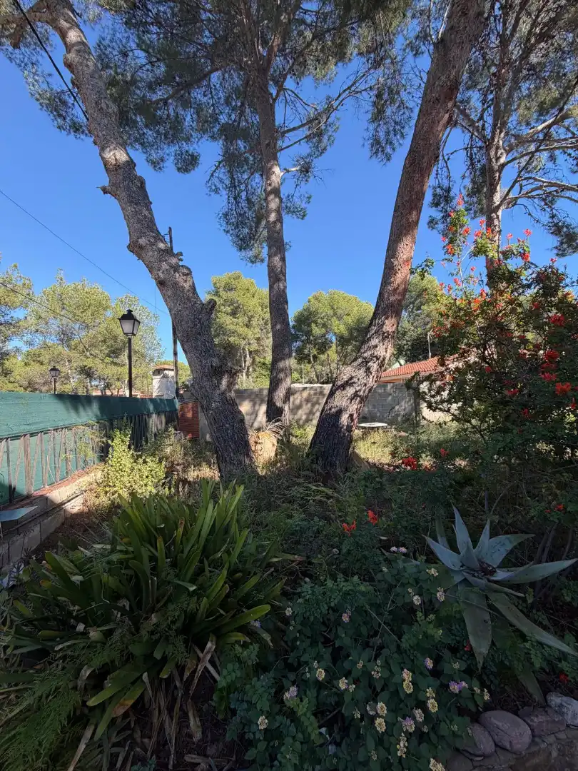 Garten von Einfamilien-Reihenhaus zum Verkauf in Olocau mit Privatgarten, Terrasse und Schwimmbad