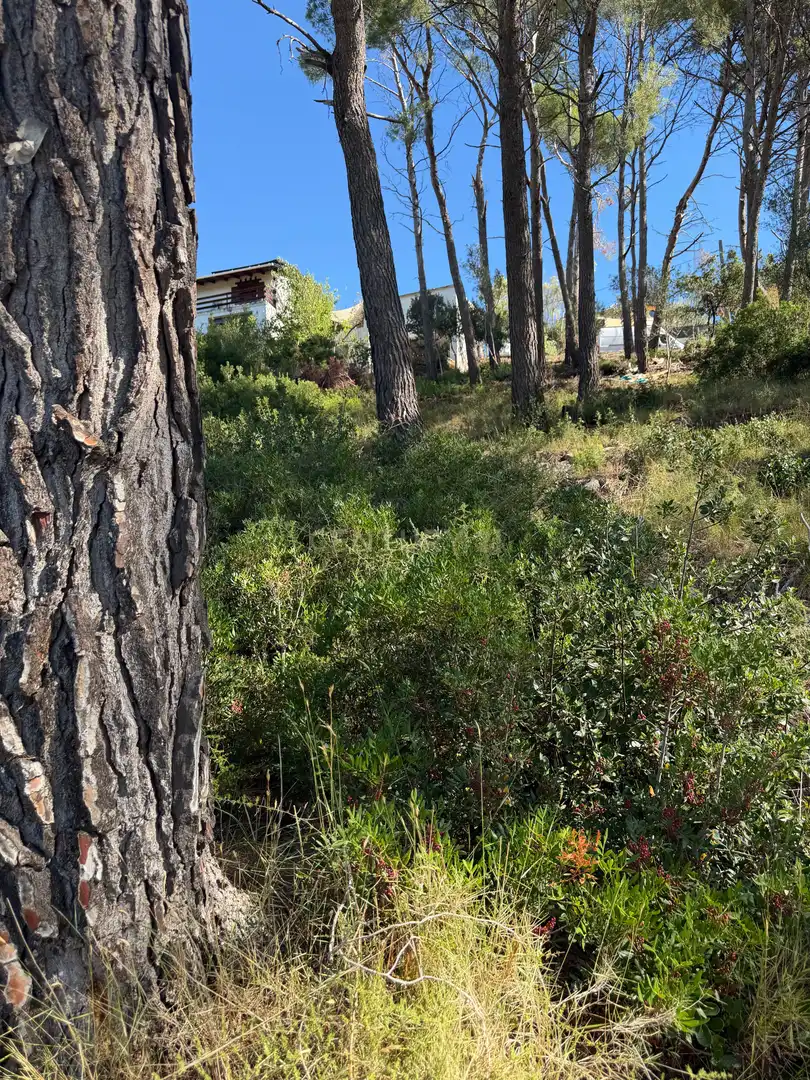Terreno residencial en venta en Carrer Santa Elena, 10, Aire-Sol, Spain, imagen 19