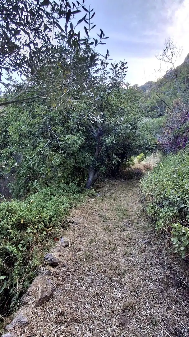 Finca rústica en venda en Cabanes amb Jardí privat, Terrassa i Piscina