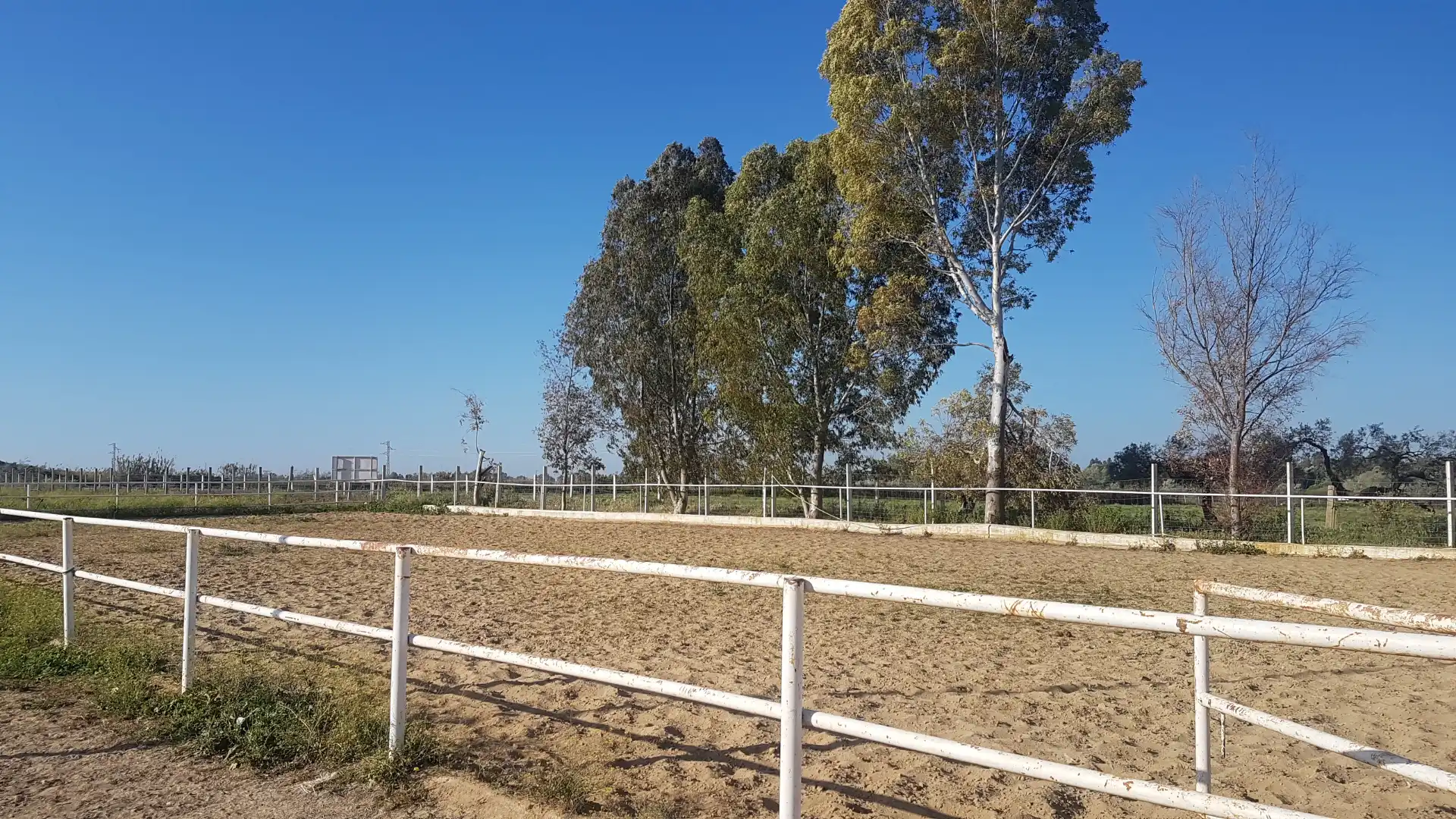 Terreni e lotti in vendita a Sanlúcar la Mayor, imagen 9