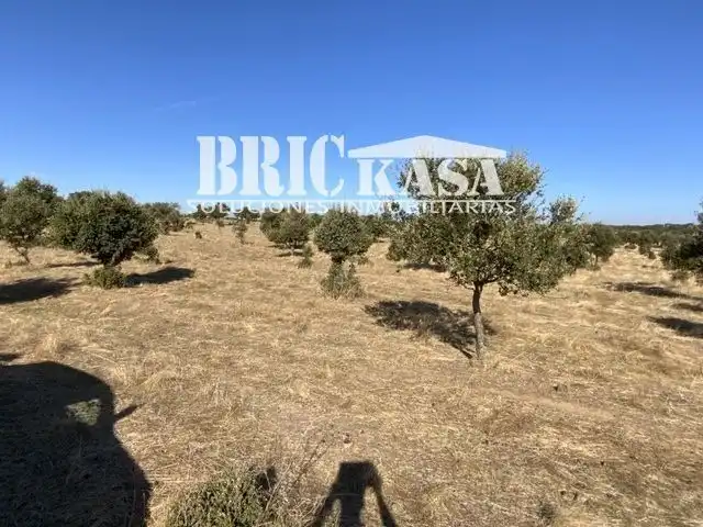 Grundstücke und Bauplätze zum Verkauf in Arroyo de la Luz, imagen 11
