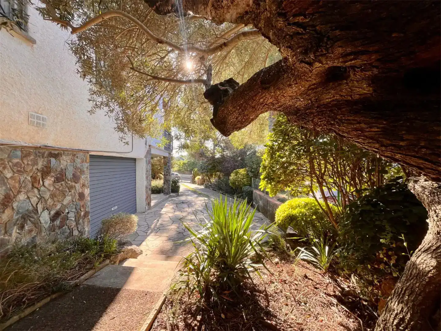 Vista exterior de Casa o chalet en venta en Begues con Aire acondicionado, Piscina y Balcón