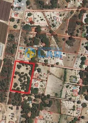 Terreno en Venta en Bonares