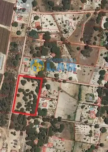 Terreni e lotti in vendita a Bonares