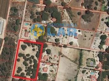 Rural land for sale in Bonares