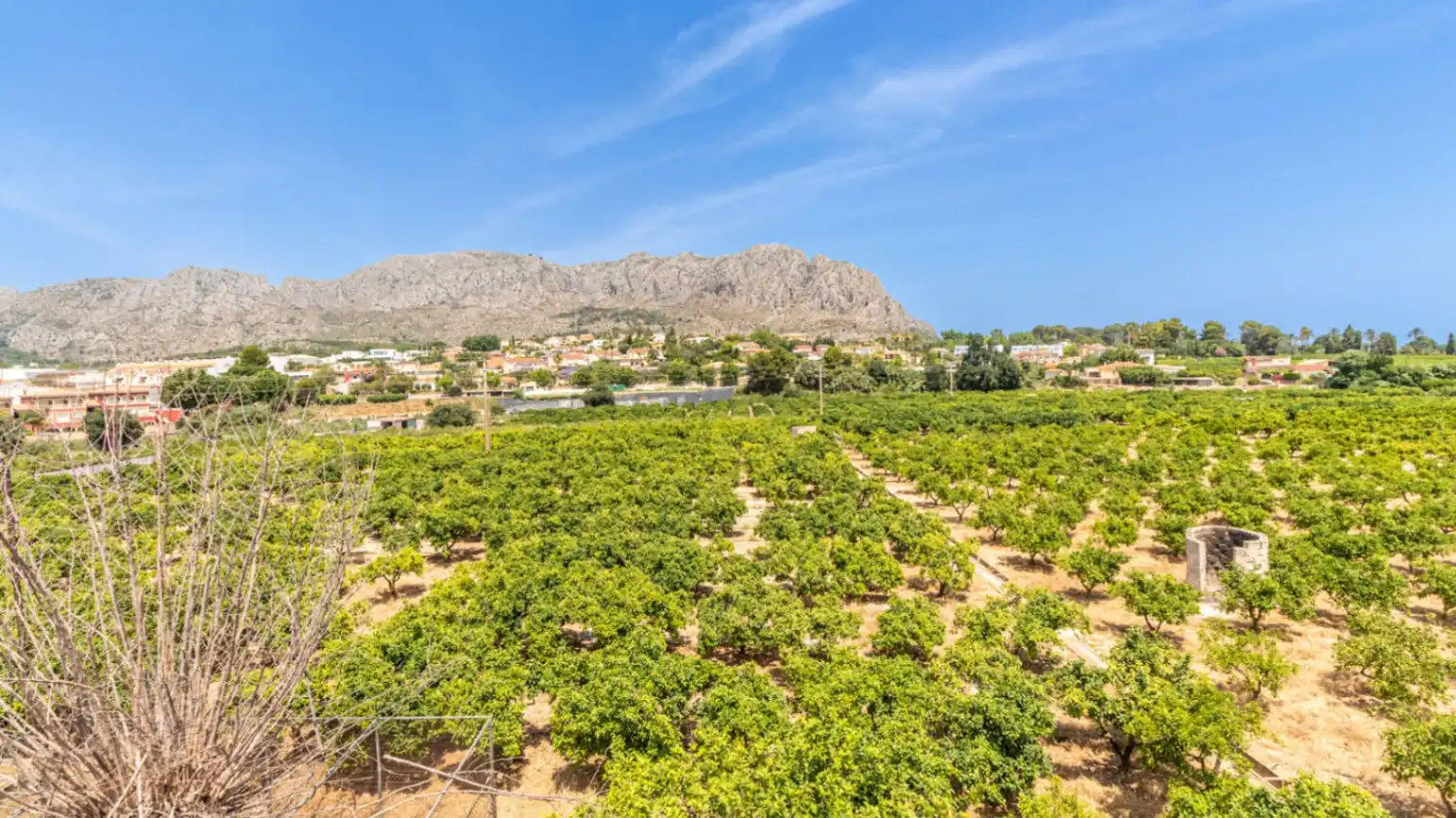 Vista exterior de Finca rústica en venda en Beniarbeig amb Jardí privat, Terrassa i Traster