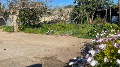 Foto 3 de Finca rústica en venta en Los Franceses – La Vega, Chiclana de la Frontera