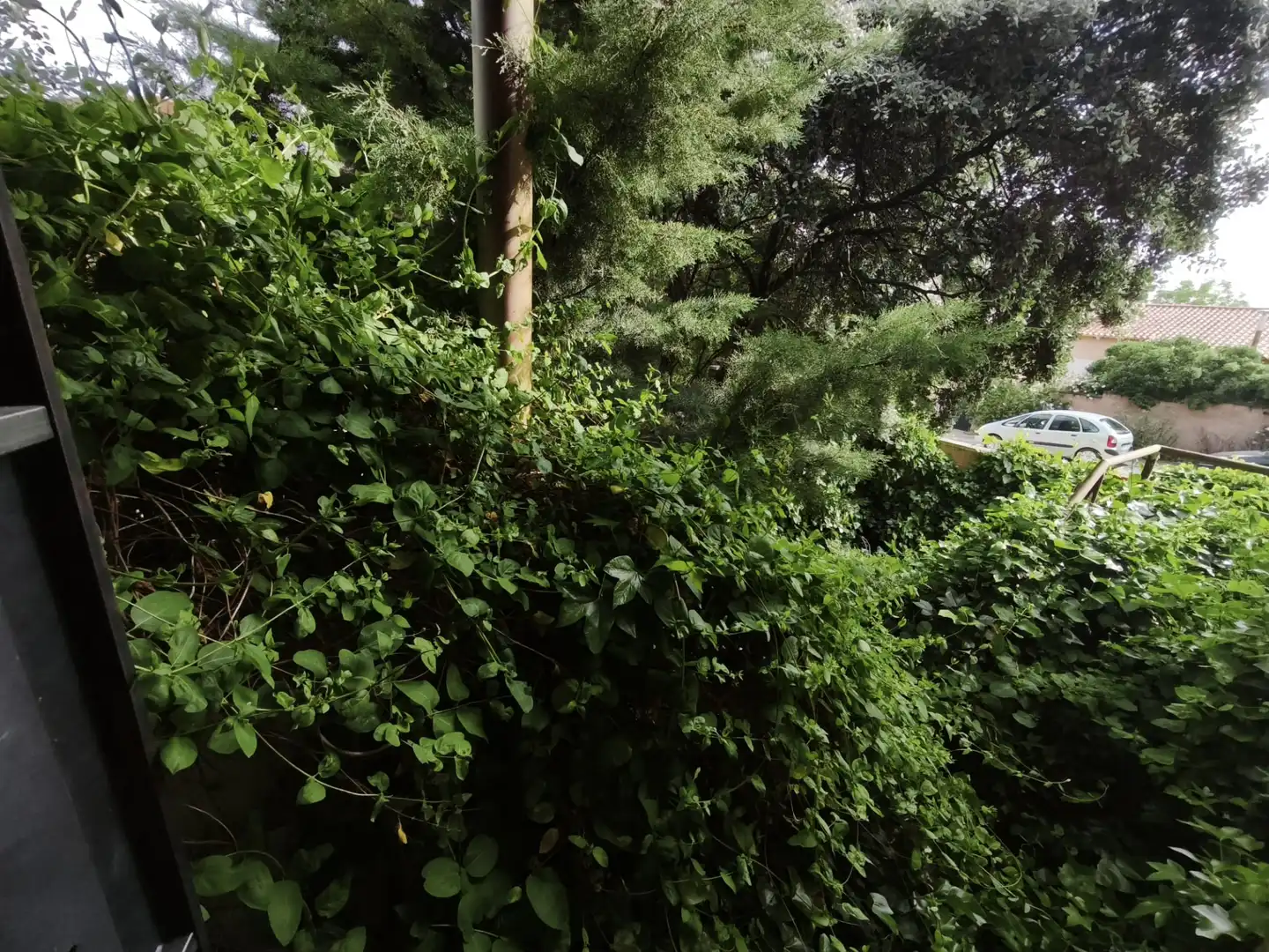 Villa avec jardin à vendre à Avenida de los Jarales, imagen 16