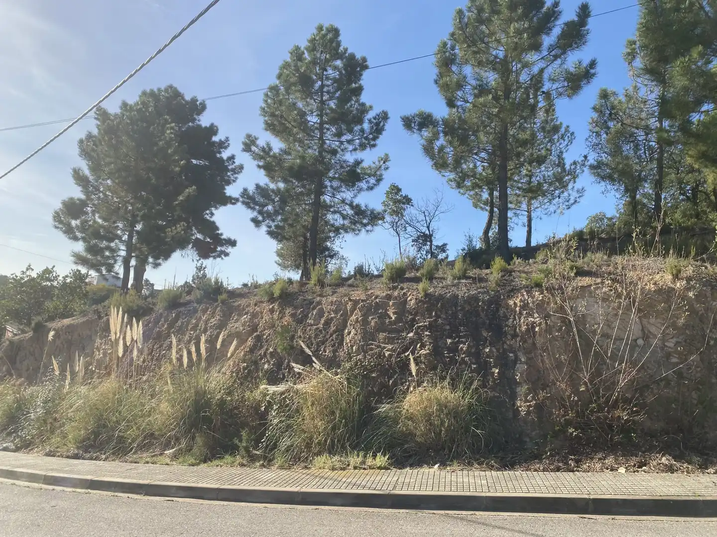 Terreno residencial en venta en Calle Lirios 23, imagen 2