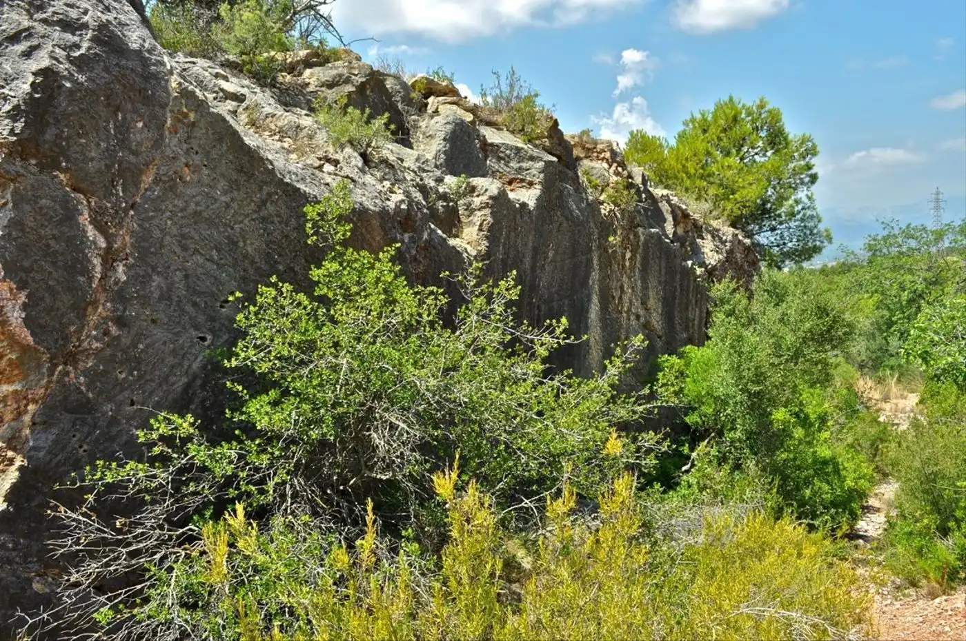 Land for sale in Camí del Barranc de la Llet, 26, Sant Llàtzer