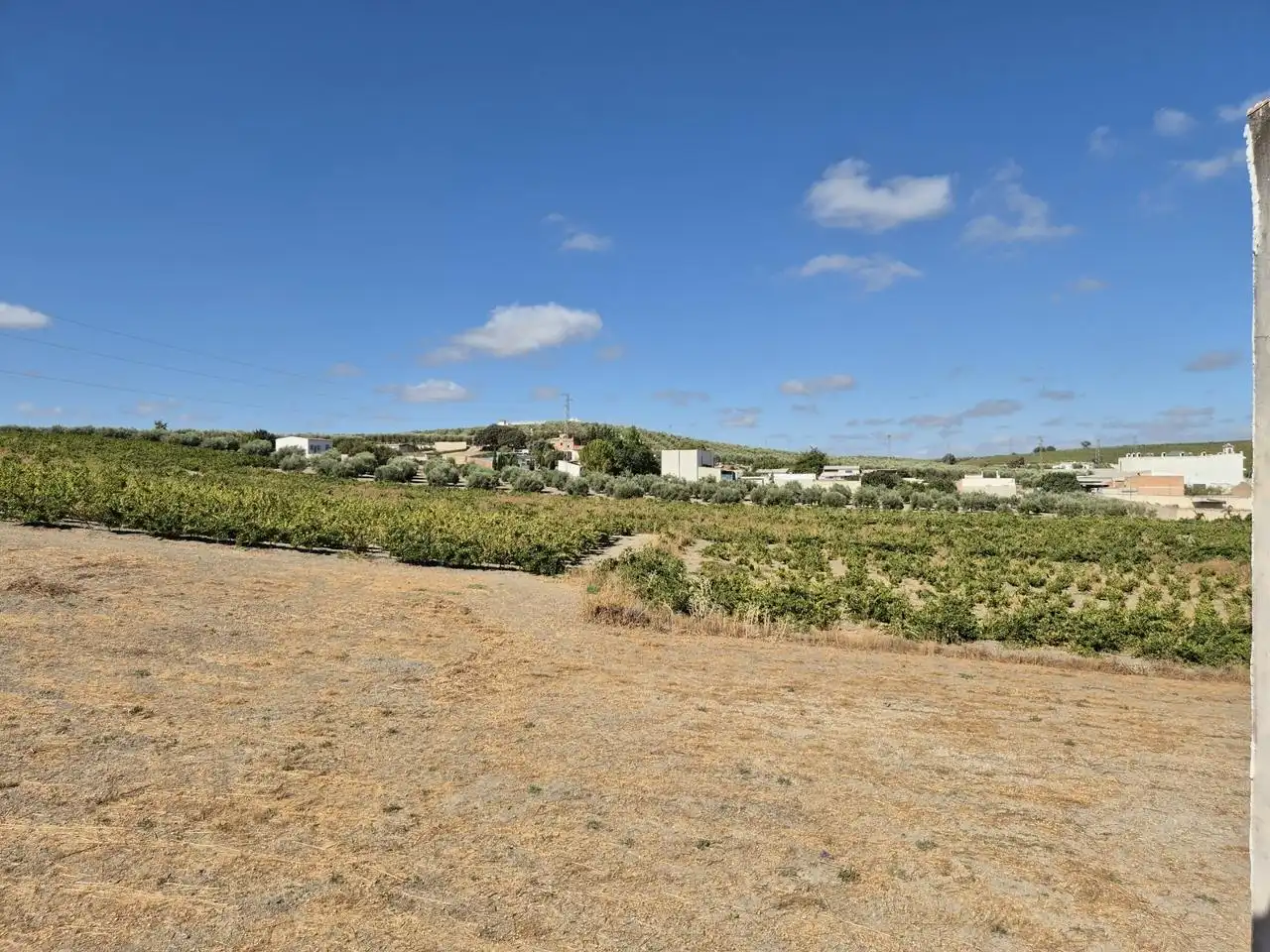Flat for sale in Moriles, imagen 48