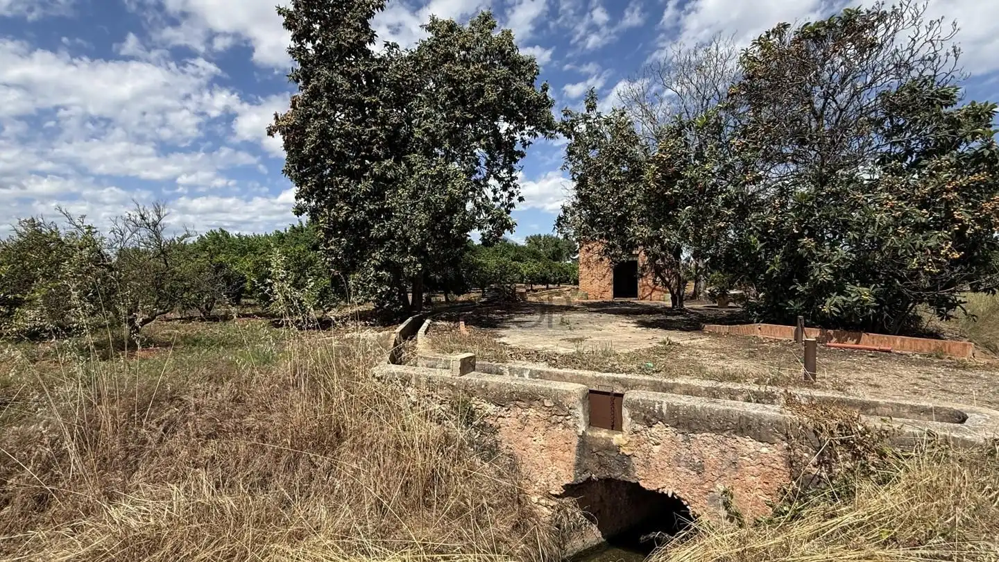 Land for sale in Rafelguaraf