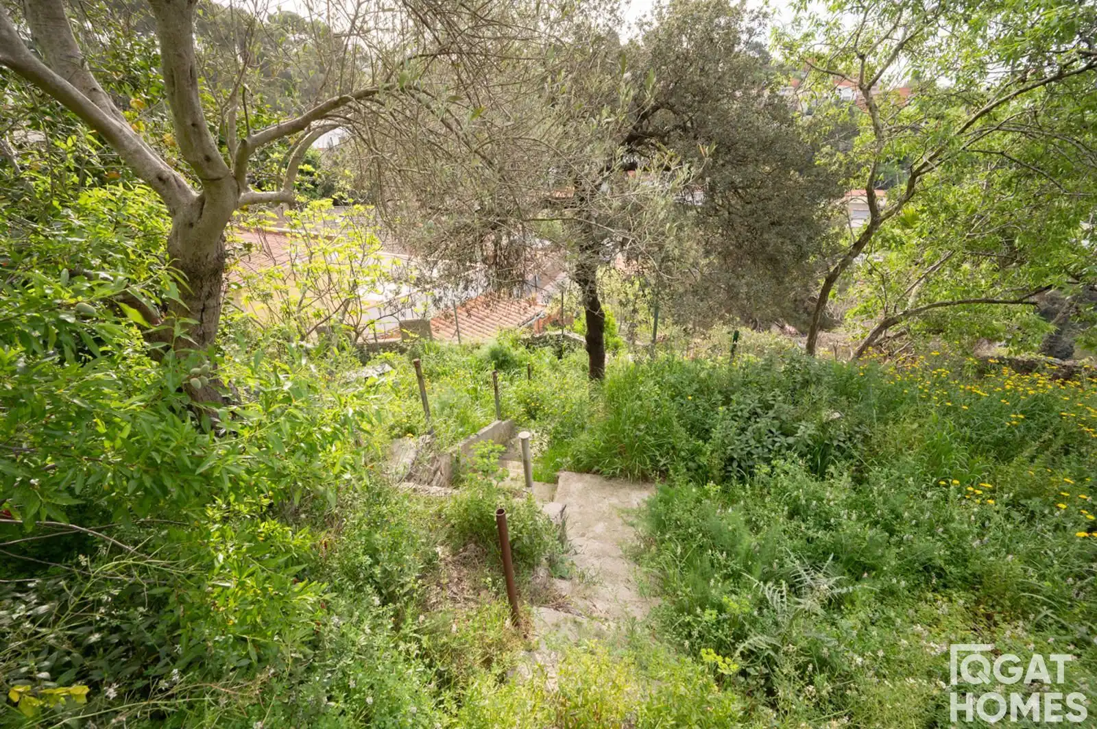 Terreno rustico in vendita a desert, imagen 14