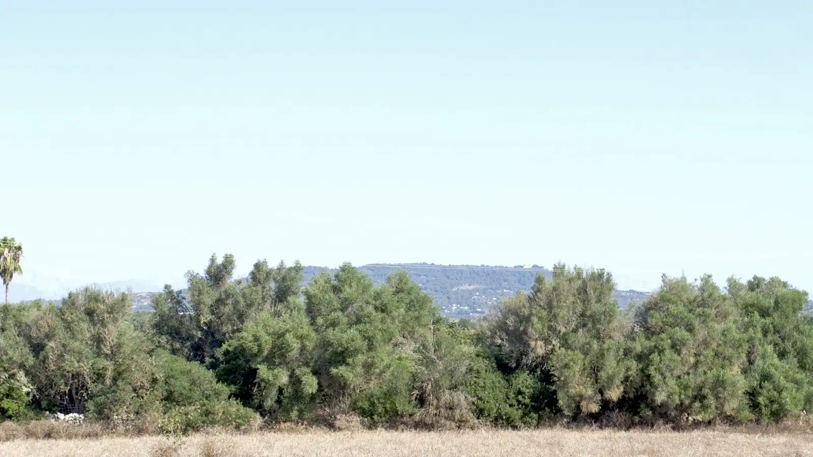 Casa rústica con terraza en venta en Manacor Centre, imagen 29