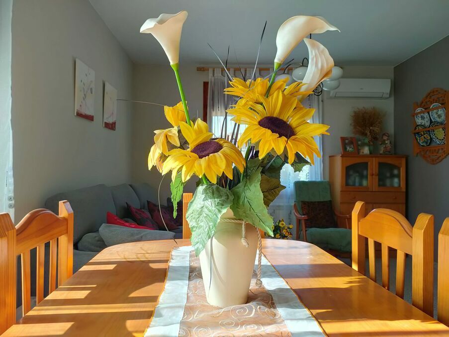 Garden of House or chalet for sale in Sant Feliu de Buixalleu  with Air Conditioner and Heating