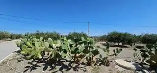 Country house for sale in URCAL, imagen 79
