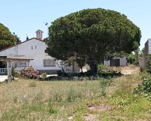 Jardí de Casa o xalet en venda en Chiclana de la Frontera amb Calefacció, Jardí privat i Terrassa