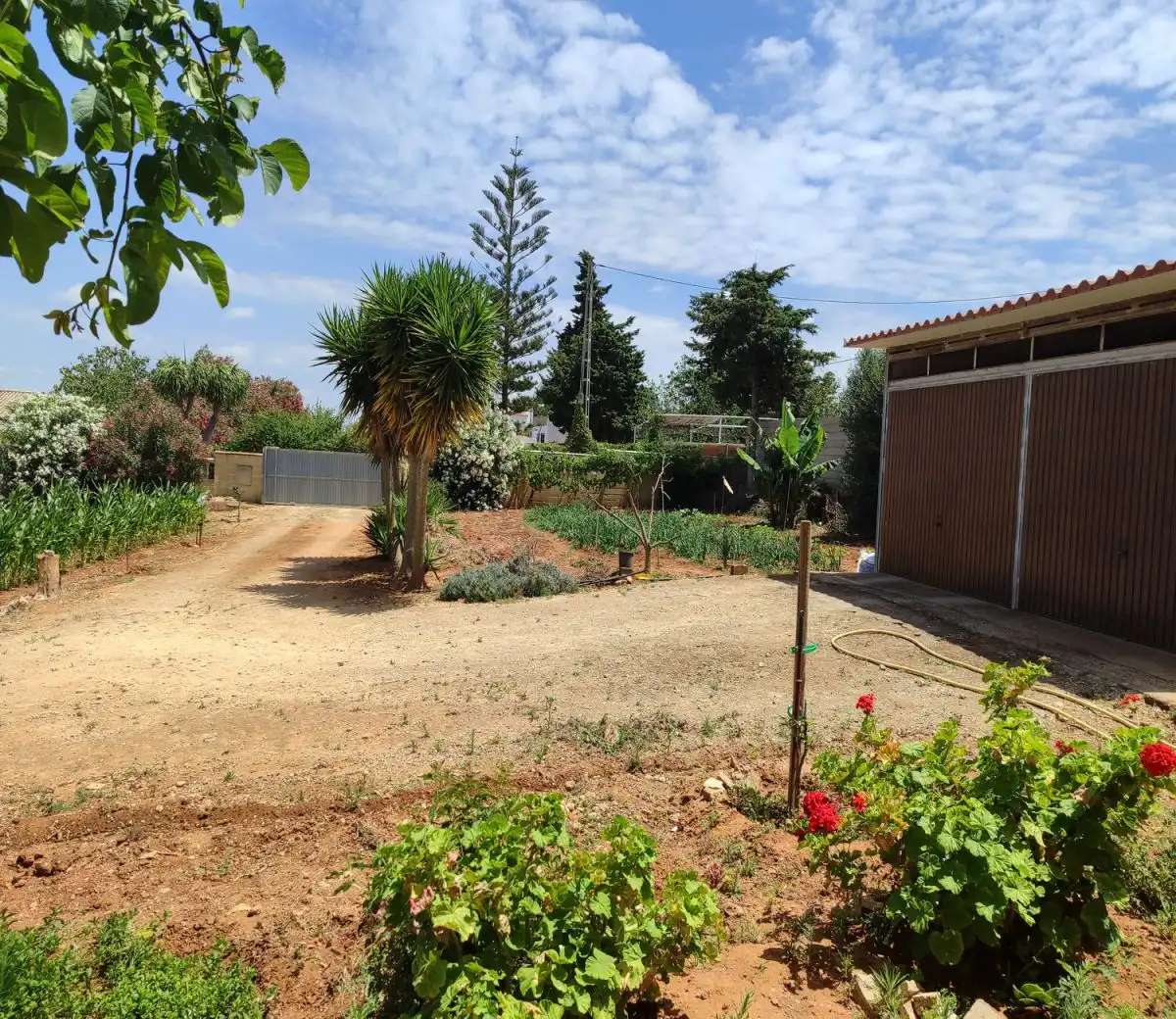 Detached house for sale in Barrio Nuevo, imagen 5