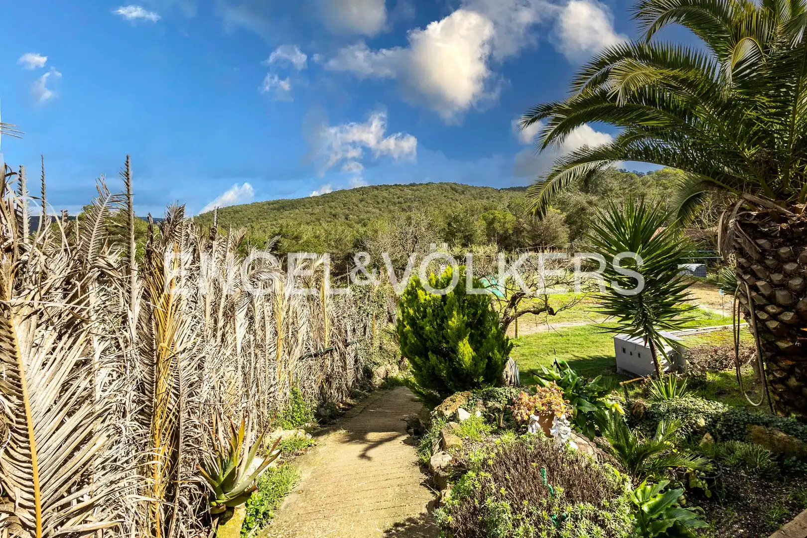 Maison avec jardin à vendre à Begues, imagen 24