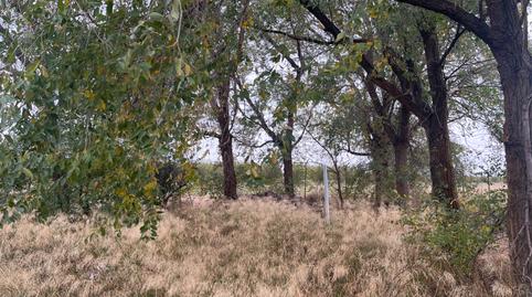 Photo 5 of Land for sale in Garrapinillos,  Zaragoza Capital