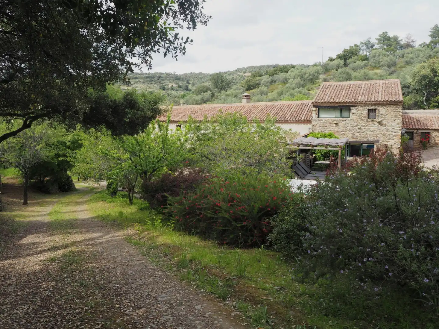 Houses for sale in Madroñera - LAS ANIMAS, Madroñera