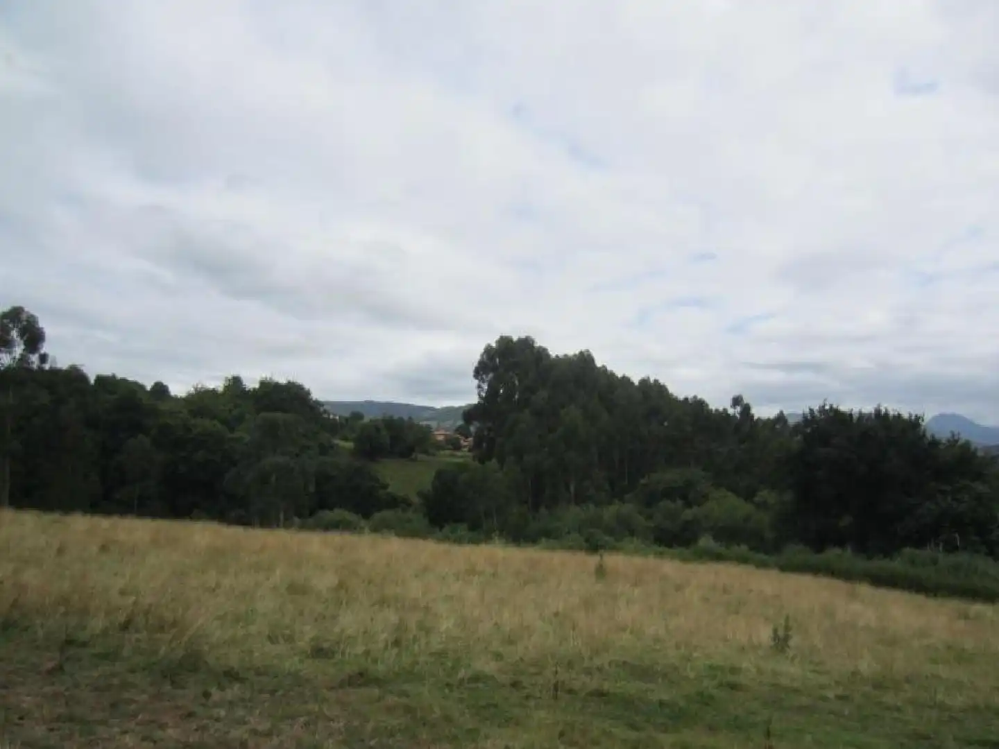 Rural land for sale in Ampuero, imagen 10