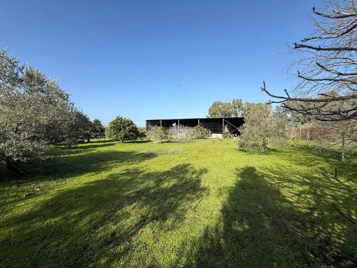 Terreno en venta en Arahal