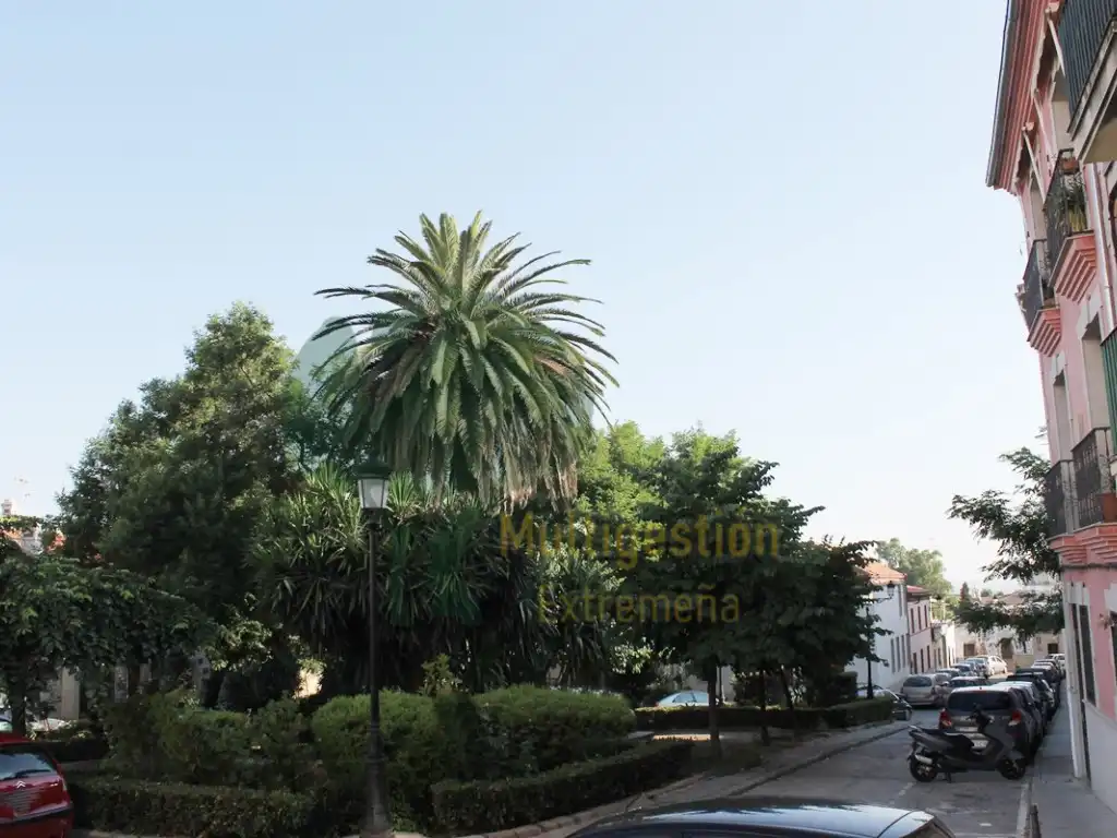 Dúplex amb ascensor en venda a Casco Antiguo