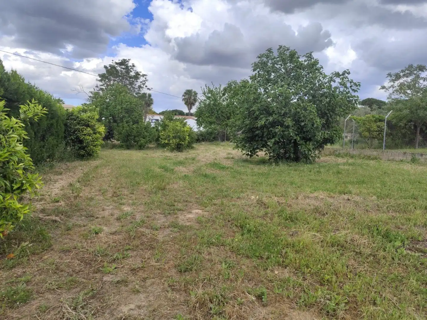 Casa o xalet en venda en Hinojos amb Jardí privat, Terrassa i Traster