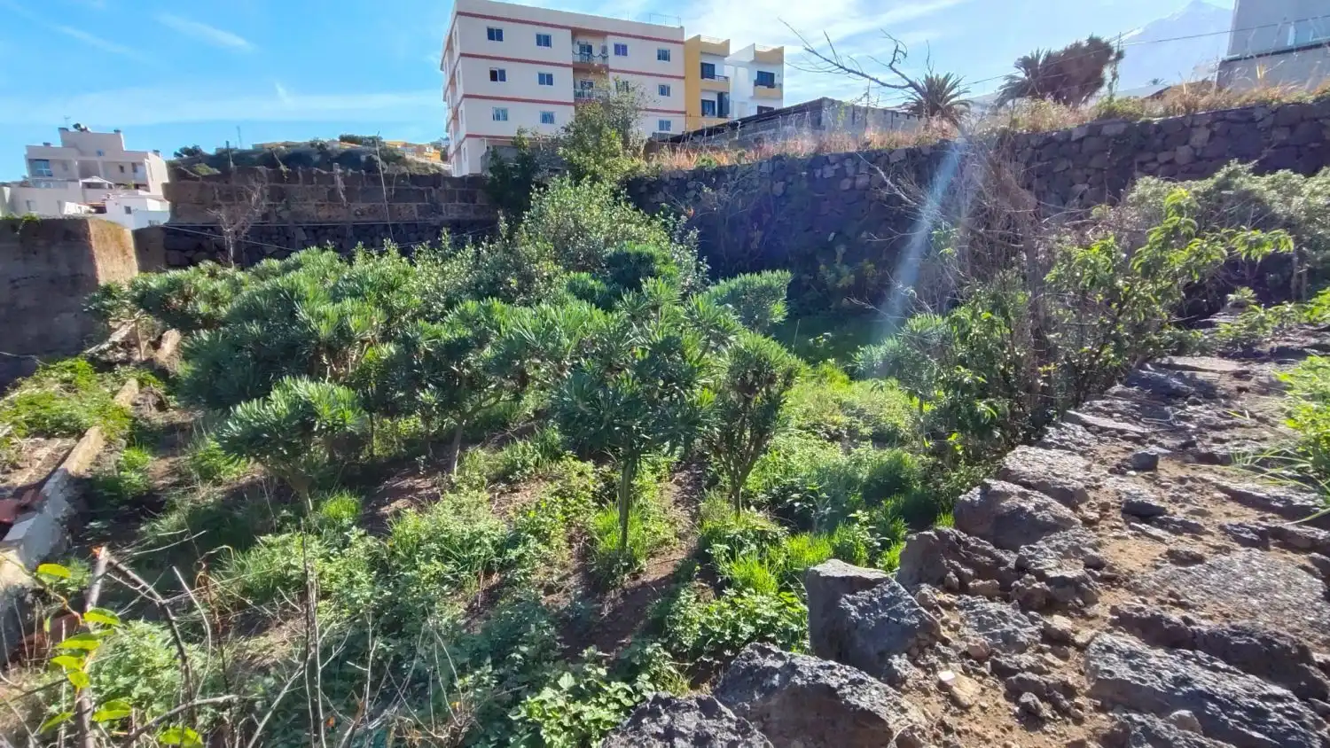 Houses for sale in Icod de los Vinos  with Storage room and Furnished