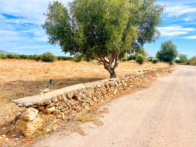 Terreno en Venta en Carretera de Monrossí, 150 en Torreblanca
