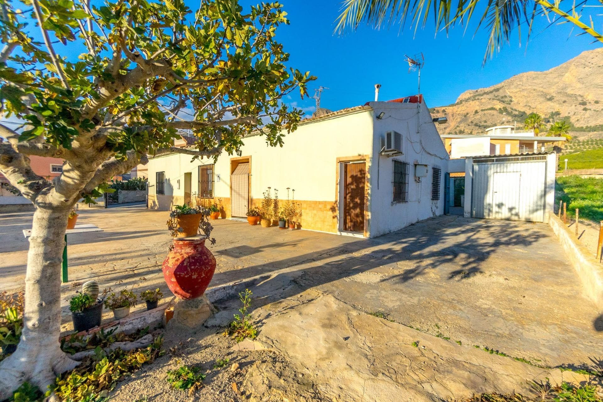 Vista exterior de Finca rústica en venta en Orihuela