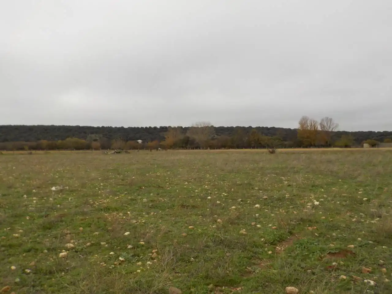 Terreno residenziale in vendita a Poligono 20, imagen 16