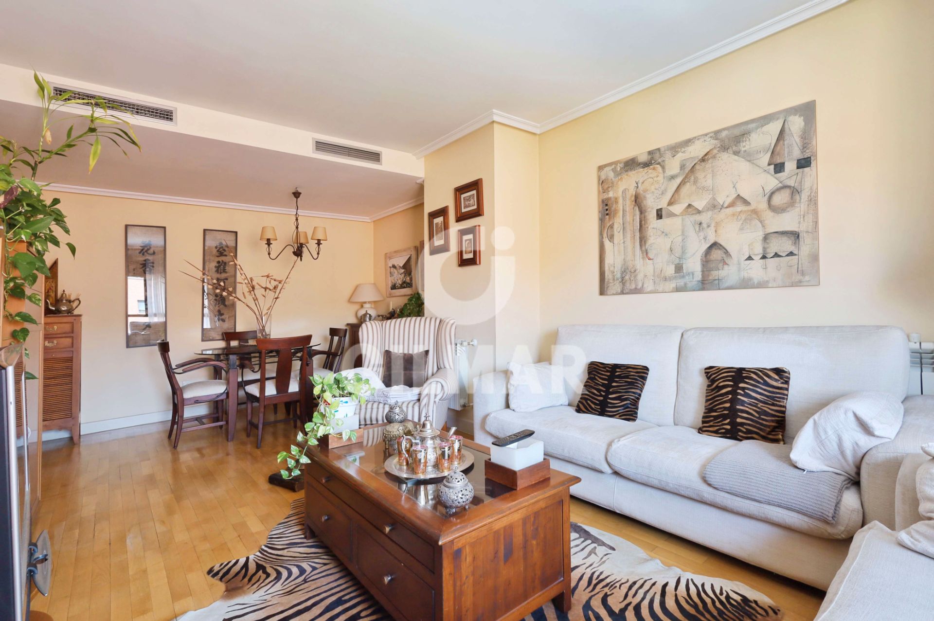 Living room of Flat for sale in  Madrid Capital  with Air Conditioner, Heating and Private garden