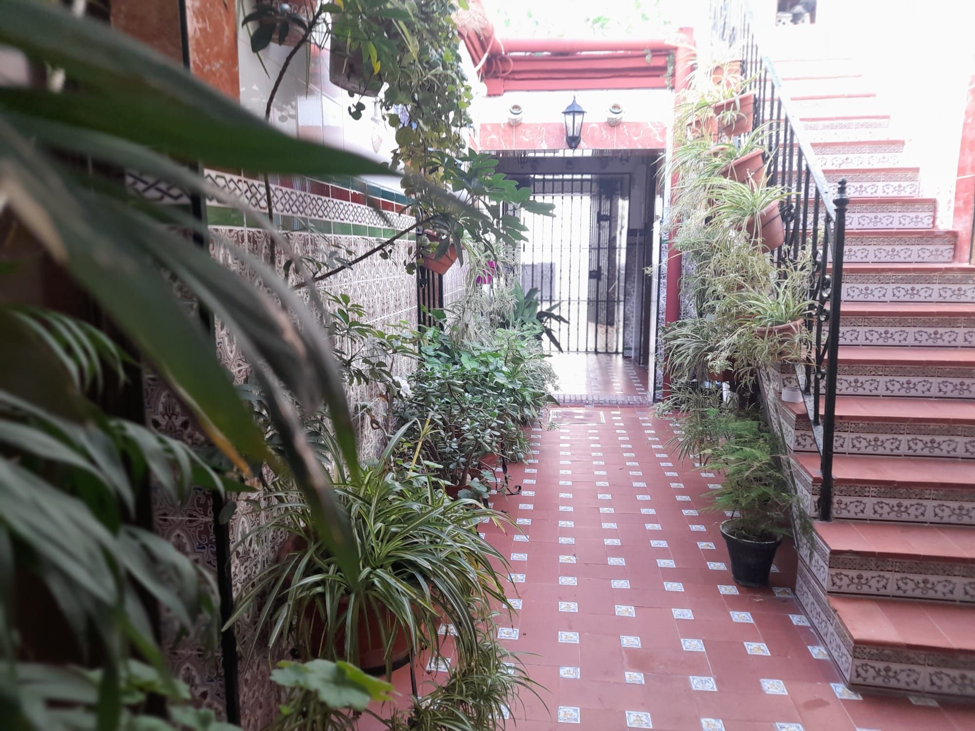 Casa o xalet en venda en Chipiona amb Terrassa, Moblat i Balcó