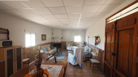Chalet en Tomelloso   Carretera Ossa e Montiel. NO TIENE AGUA Y LUZ DE GASOIL, imatge 3