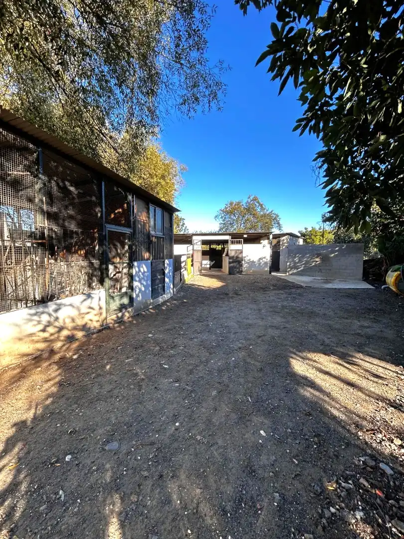 Außenansicht von Haus oder Chalet zum Verkauf in Coín mit Schwimmbad