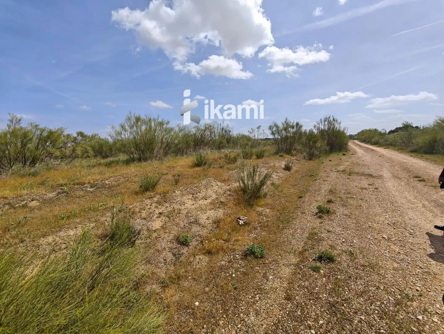 Terreny rústic en venda a de Torviscos, imagen 7