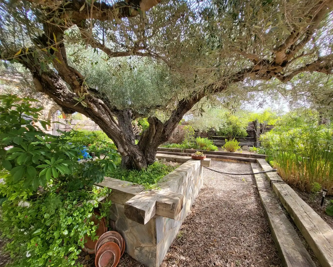 Jardí de Finca rústica en venda en L'Ametlla de Mar  amb Jardí privat, Terrassa i Traster