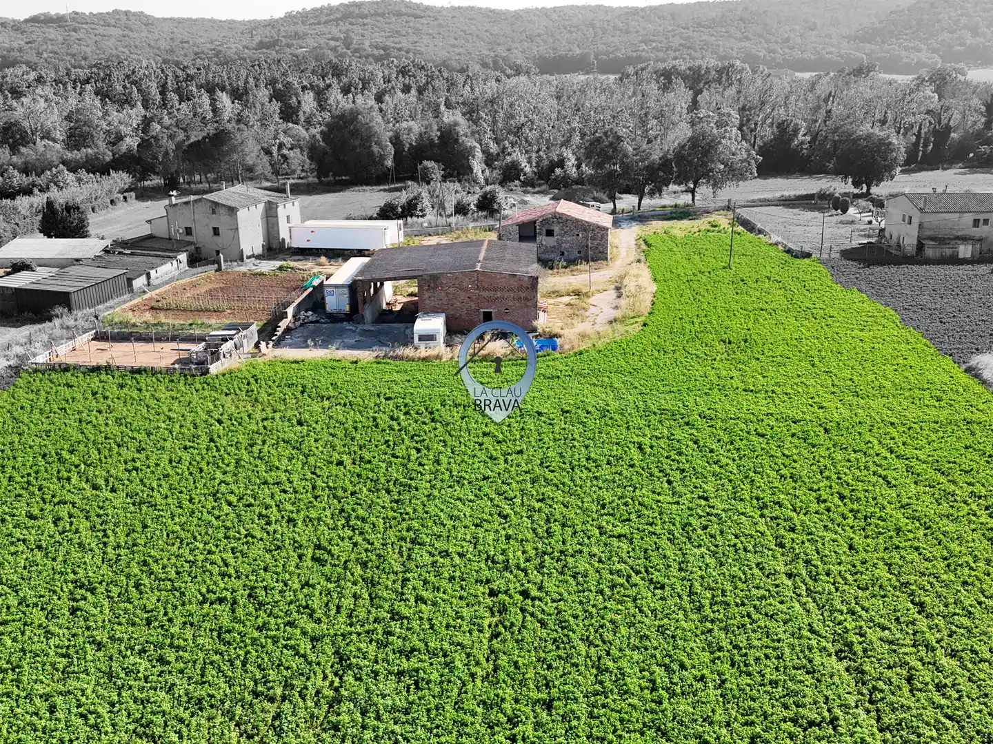 Landhaus zum Verkauf in Diseminado Afores, imagen 19