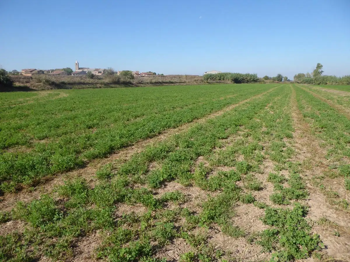 Lands and plots for sale in Salada o Eres i Serra, imagen 3