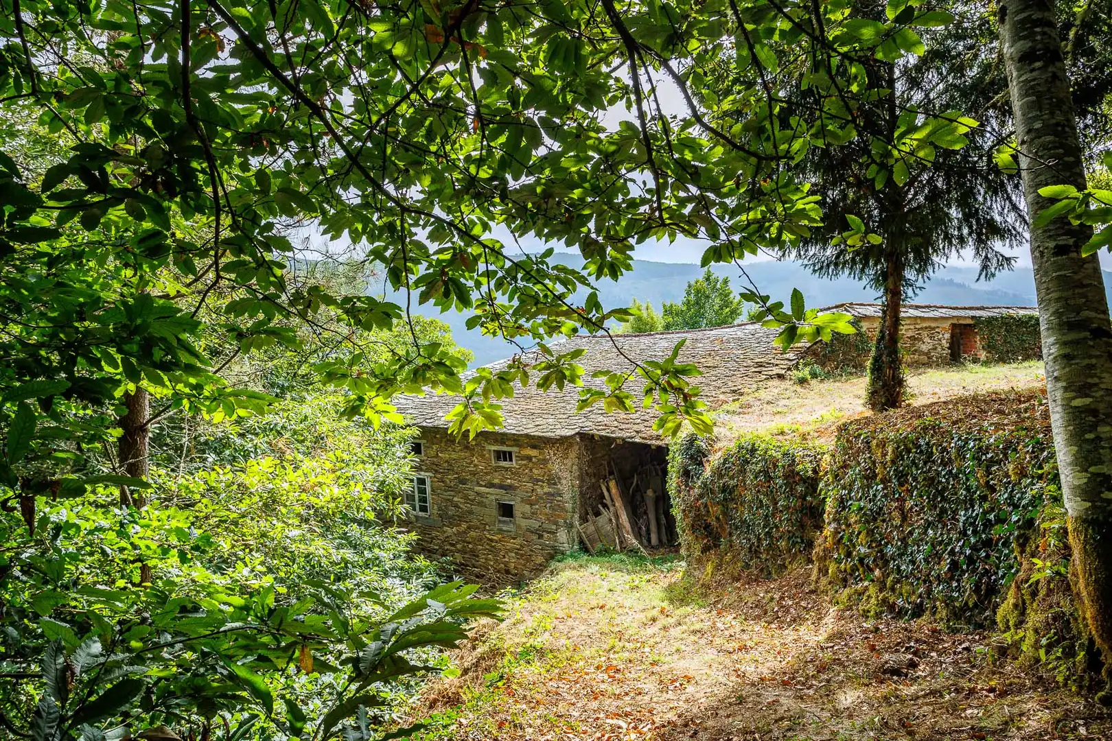 Casa rústica en venda a Ibias, imagen 24