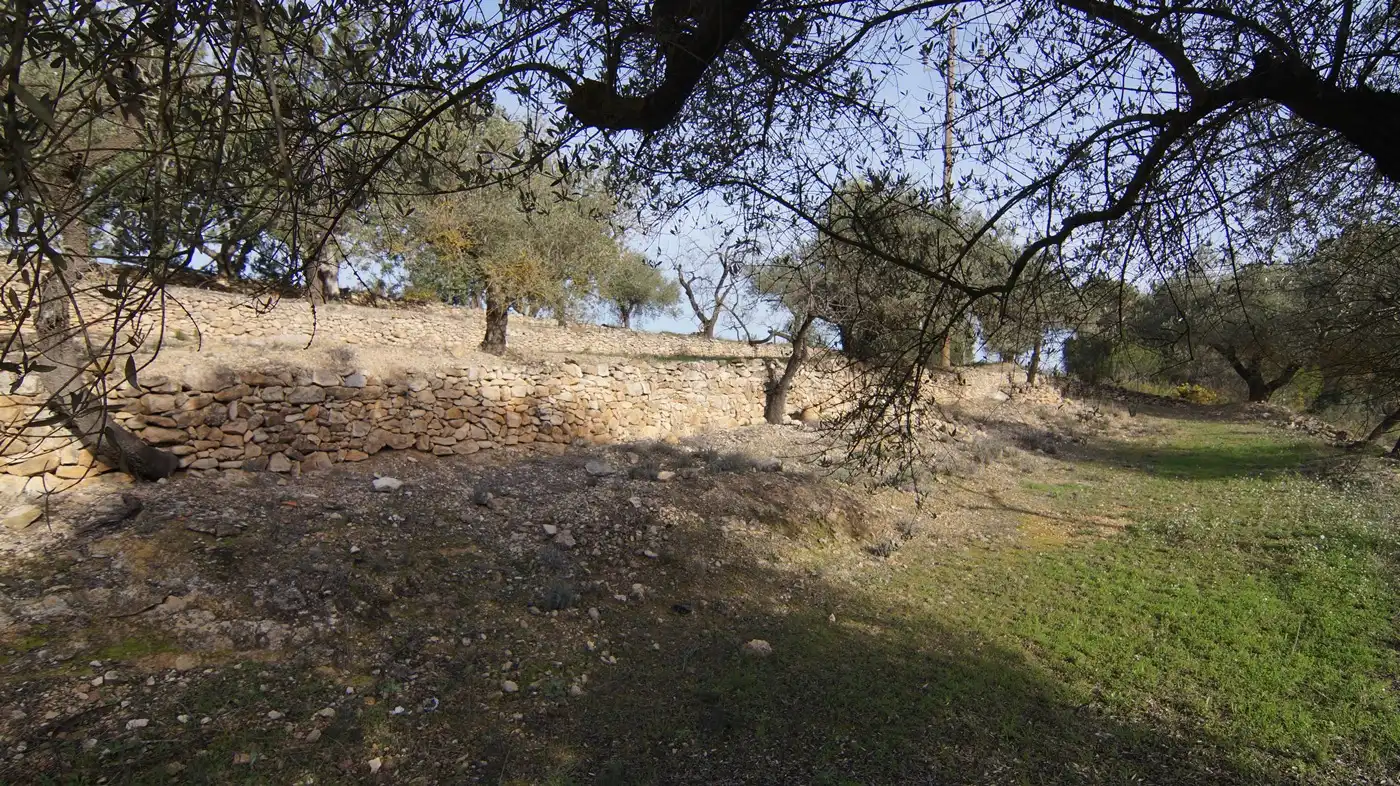 Terrain rustique à vendre à Rasquera, imagen 16