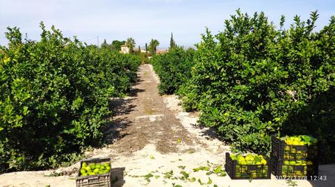 Foto 2 de Terreny en venda a Redován, Alicante