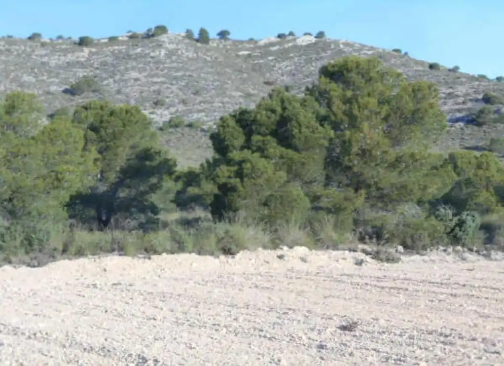 Rustikales Grundstück zum Verkauf in SOLANA DE LA PAVA, imagen 3